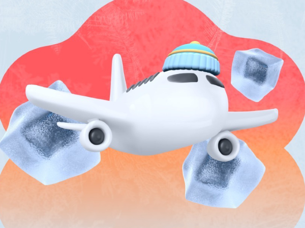 Why should the plane be destroyed-USA Aircraft Group Corporation