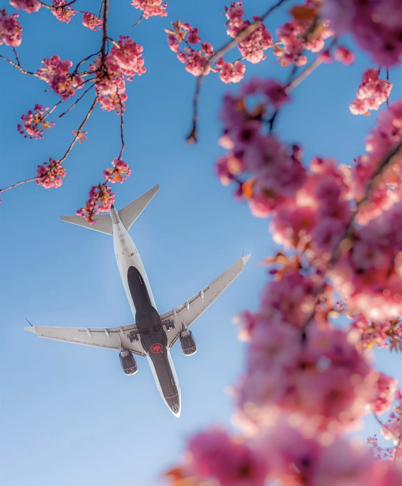 How to dispose of retired aircraft - USA Aircraft Group Corporation